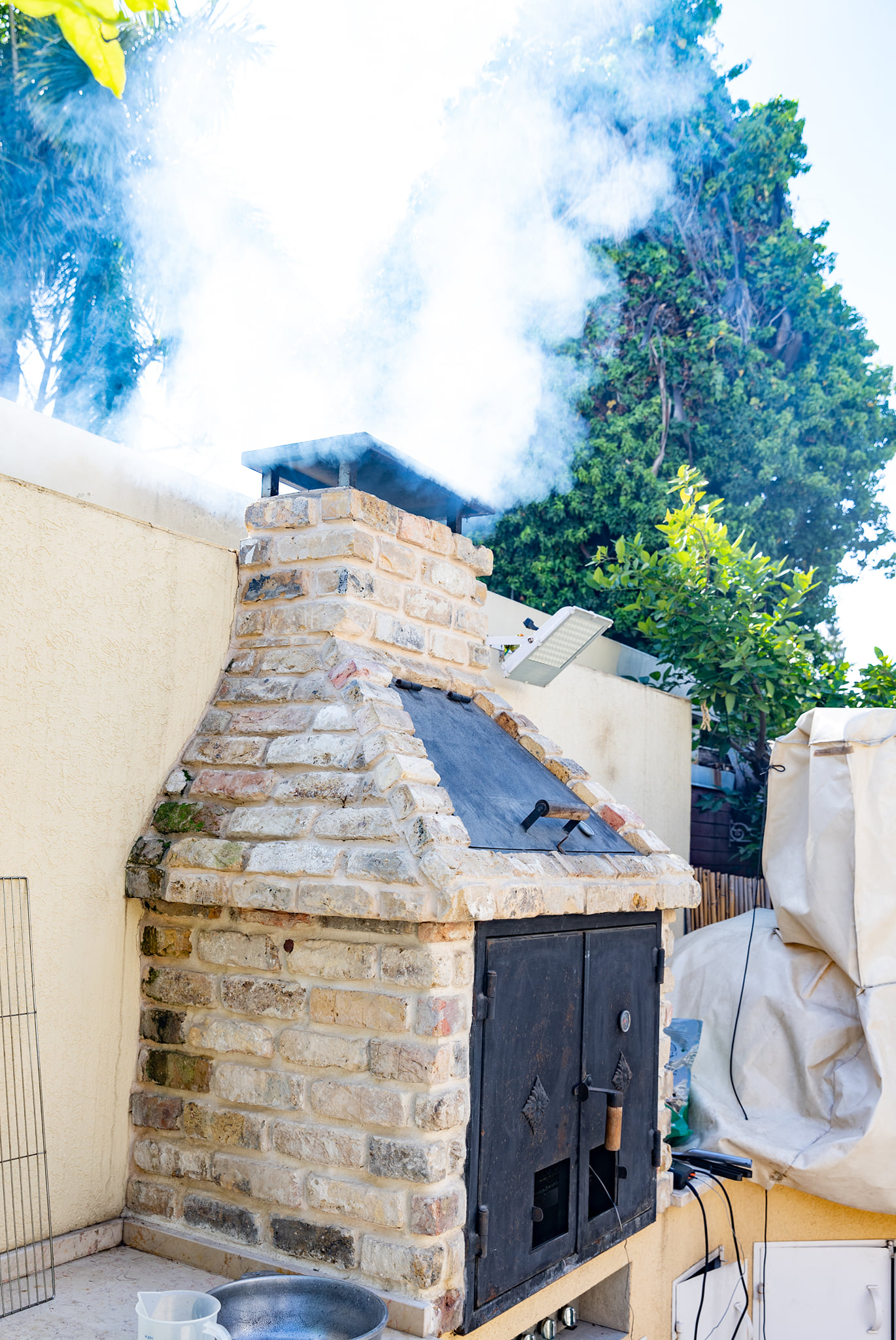 ברווז מעושן