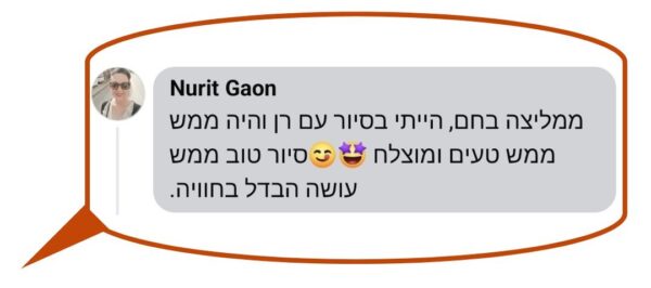 נורית גאון