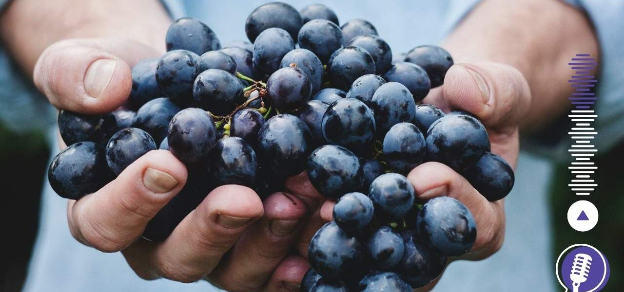 ענבים ביד אדם